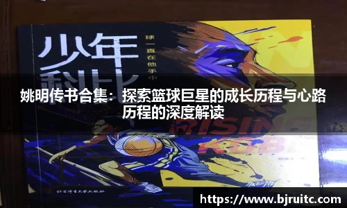 EMC易倍
