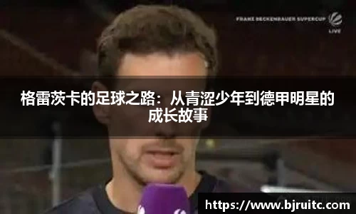 EMC易倍